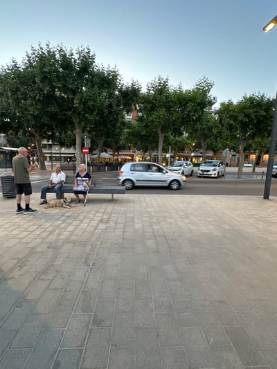A street scene in Sant Feliu De Guíxols, Spain, depicts three people and a dog on a sidewalk adjacent to a street with several cars. In the foreground, a man wearing a green t-shirt and black shorts stands and converses with two people seated on a long, grey bench. A tan dog lies on the ground in front of the bench. To the left of the bench is a dark grey trash receptacle. Behind the bench and people, a paved street is visible with cars driving and parked. A silver car is in motion on the left side of the street, and two white cars are parked on the right side. Trees with dense green foliage line the street, and buildings are visible in the background. A street lamp with an orange light is present on the right edge of the frame. The ground is paved with rectangular grey tiles. The sky is a clear light blue.