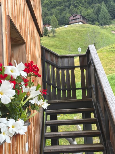 The image captures an outdoor scene in Sauris / Zahre, Italy, with a focus on the exterior of a wooden building and an adjacent staircase. In the foreground, a planter box overflows with vibrant red and white flowers, adding a splash of color to the rustic wooden wall. To the right, a wooden staircase with dark metal railings ascends, its steps weathered and showing signs of age. Beyond the staircase, a lush green hillside slopes upward, dotted with trees and a traditional wooden house situated on the crest. The sky is overcast, contributing to the soft, natural lighting of the scene. The overall impression is one of a serene, alpine setting, characteristic of the Sauris region.