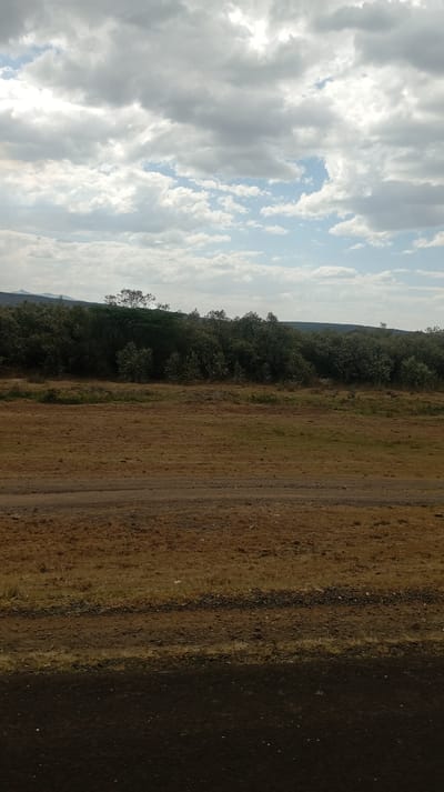 A landscape shot reveals a scene beneath a cloudy sky. A field of dry grass and dirt stretches toward a distant line of trees atop a small hill. The lower portion of the frame shows a paved surface. The sky is partially covered with gray and white clouds, and a patch of blue is visible.
