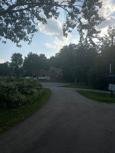 The image depicts a park pathway curving through a residential area in Mississauga, Canada. The pathway is paved with dark asphalt and is flanked by green grass and a large, well-maintained bush on the left. In the background, there are mature trees, a few houses with red brick facades and garages, and several parked cars. A street sign with "Alfresco" is visible on the right, indicating the location. The sky is partly cloudy with the sun peeking through, casting dappled light on the scene. The overall impression is one of a peaceful, suburban environment.