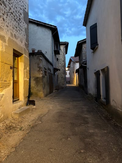 A narrow, cobblestone alleyway in Saint-Antoine-l'Abbaye, France, is depicted in the image. The scene is illuminated by the warm glow of a street lamp in the distance and a light emanating from a window on the left. Buildings with stone and stucco facades line both sides of the alley. On the left, a stone building features a wooden-framed window with a house number "9". A dark-colored cat is positioned on the ground in front of this building. The sky above is overcast with a hint of twilight. The overall atmosphere suggests a quiet, European village street scene at dusk.