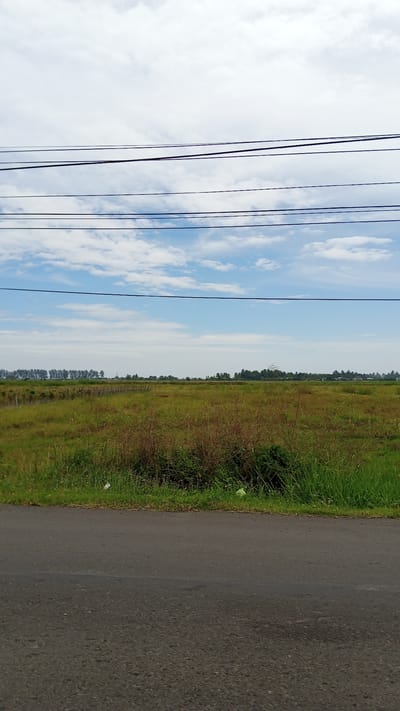 A horizontal, eye-level, medium-distance shot captures a road in the foreground, transitioning into a vast, open field. A line of trees marks the horizon, with a village and more trees visible in the distance. The sky above is a blend of blue and white clouds, with power lines stretching across the upper portion of the frame. The scene depicts a rural landscape, likely on the outskirts of Neuboknaleung, Indonesia. The road is paved and appears to be in good condition, with no vehicles or people visible on it. The field is covered in green grass and some dry brush, suggesting it might be a pasture or undeveloped land. The power lines indicate the presence of infrastructure, even in this rural setting. The overall impression is one of quiet, open space, typical of many Indonesian villages.