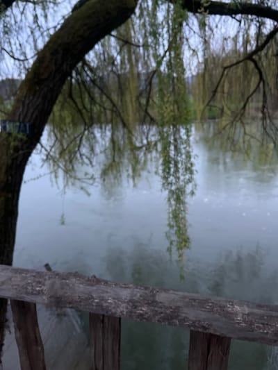 The image shows a body of water, possibly a river or lake, with a blurred reflection of trees on the left. A wooden structure, possibly a bridge or pier, is visible on the right side of the frame. The image has a slightly blurry quality. The photograph was taken in Brežice, Slovenia.