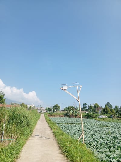 A concrete path stretches into the distance under a bright blue sky. Lush green grass and vegetation border the path on both sides. To the left, a dense patch of tall grass is visible. To the right, a field of cultivated cabbages extends towards the horizon. A tall, wooden pole with solar panels and a light fixture is positioned beside the path. In the background, houses and trees are discernible under a partially cloudy sky. The location is in the city of Ban Katan, Laos. There are no people visible in the image.