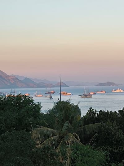 The image depicts a serene seascape at dusk in Labuan Bajo, Indonesia. The sky transitions from a pale blue at the top to a soft peach and pink hue near the horizon, indicating the setting sun. A chain of layered, mist-shrouded islands forms the backdrop, their slopes subtly illuminated by the fading light.
In the foreground, lush, dark green foliage of trees and palm fronds frames the scene, suggesting a viewpoint from an elevated position. The middle ground is dominated by a calm body of water, likely the Flores Sea, dotted with numerous boats of varying sizes. These include several traditional wooden schooners with their distinctive sails furled, as well as larger, modern vessels with lit windows, hinting at ongoing activities or preparations for the night. The boats are anchored or gently drifting, creating a picturesque and tranquil maritime scene. The overall atmosphere is peaceful and tranquil, capturing the essence of a tropical evening in Labuan Bajo.