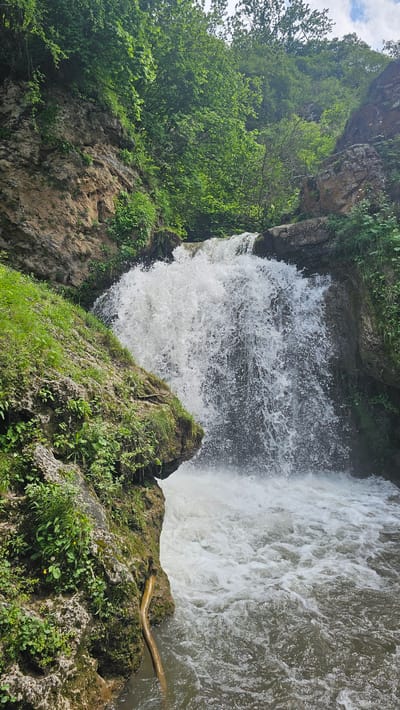 A powerful waterfall cascades over a rocky ledge, surrounded by lush green vegetation and trees. The water is white and frothy as it plunges into the pool below, creating a misty spray. Rocks and soil are visible on the left, with a small branch partially submerged in the water at the base of the waterfall. The sky is cloudy but bright, suggesting daylight. The scene is natural and appears to be in a remote, undeveloped area. It is not possible to determine the specific location in Krasny Kurgan, Russia from the image alone.