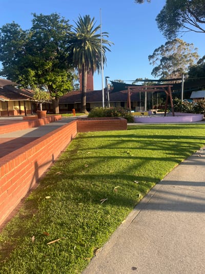 This image captures an outdoor area at Applecross Primary School in Applecross, Australia, under bright, clear blue skies. The scene is illuminated by direct sunlight, casting long, distinct shadows across the ground.
In the immediate foreground, a red brick retaining wall runs horizontally along the lower left quadrant, creating a raised garden bed or pathway. To the right of this wall, a strip of well-maintained green grass, scattered with a few dried leaves, extends towards a concrete sidewalk that defines the right edge of the frame.
Beyond the foreground brick wall, to the left, are portions of single-story school buildings with light yellow walls and reddish-brown tiled roofs. A large, green-leafed deciduous tree stands prominently to the left of a tall, slender palm tree. Directly behind the palm tree, a distinctive, reddish-brown brick tower rises, characteristic of the school's architecture. A white flagpole is visible to the right of the palm tree.
In the mid-ground, a children's playground area is visible. It features a wooden swing set structure with multiple swings. The playground ground cover appears to be yellowish sand or soft-fall material, partially enclosed by a low, light purple-colored circular wall. Dark shade cloths are suspended above parts of the playground. Additional school buildings with tiled roofs are visible behind the playground, and the far background contains mature eucalyptus trees and other foliage. No individuals are visible within the frame.