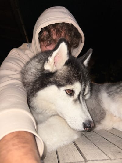 A person wearing a light-colored hooded sweatshirt is holding a husky dog. The person's face is partially obscured by the hood and the dog's fur, but their eyes are visible and appear to be looking towards the camera. The husky has distinctive black and white markings and is resting its head on the person's arm. They are both positioned on a wooden surface, possibly a table or deck. The background is dark and out of focus, suggesting the photo was taken at night. The environment appears to be outdoors. The location of Lège-Cap-Ferret, France, is not directly discernible from the visual information in the image.