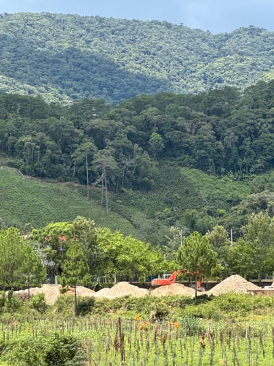 This image depicts a construction scene in a mountainous, rural area, likely Klong Klanh, Vietnam. The foreground shows a field with a fence line, some vegetation, and a few scattered orange flowers. Behind this, a row of large piles of light brown material, possibly sand or soil, are present. An orange excavator is positioned among these piles, suggesting ongoing construction or landscaping work. Several pine trees are scattered throughout this area. In the middle ground, lush green terraced fields ascend a hillside, bordered by a dense forest. The background is dominated by a large, tree-covered mountain range under a partly cloudy sky. There are no people visible in the image.