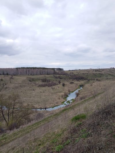 The image presents a wide, rural landscape under an overcast sky. A winding river or stream, partially covered with patches of green aquatic vegetation, flows through a valley in the mid-ground. The surrounding terrain consists of rolling hills and slopes, predominantly covered in dry, brown grass and sparse, bare shrubs, suggesting the season is either early spring or late autumn.

A prominent feature is a dense, horizontal line of tall, slender trees, possibly birches, forming a dark band across the mid-ground, indicating a forest or woodland. In the distance, on the crest of a hill to the right, several small structures resembling houses or farm buildings are visible, along with what appear to be power lines and utility poles, hinting at human habitation. The sky is entirely covered by a thick layer of grey clouds, creating a diffused and subdued lighting, characteristic of a cloudy day.

No people or specific activities are depicted, giving the scene a sense of quiet solitude. The muted color palette of browns, greys, and pale greens contributes to a calm and somewhat somber atmosphere. There is no visible text in the image. The landscape is consistent with rural areas in temperate regions, aligning with the provided location context of Znamenka, Russia.