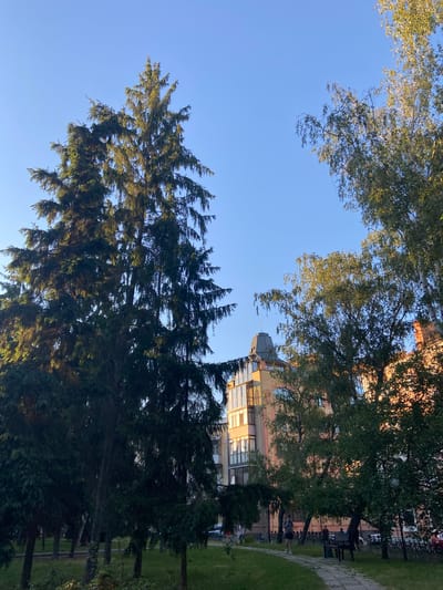 In Nyzhni Mlyny, Ukraine, a scene unfolds beneath a clear blue sky, bathed in the warm glow of sunlight. Tall evergreen trees, their branches reaching upwards, dominate the left side of the frame. To the right, a deciduous tree with lighter foliage frames the sky, its branches gracefully arching. In the background, a modern building with a distinct turreted roof and multiple balconies stands prominently, its facade illuminated by the sun. Adjacent to it, another building, possibly residential, displays a warm, brick-like color. A paved pathway winds through a grassy area in the foreground, with a park bench and a trash receptacle positioned along its edge. Several individuals are present in the scene, appearing to stroll along the path or gather in the vicinity. The overall impression is one of a tranquil urban park setting, with architectural elements and natural greenery coexisting.