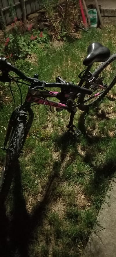 A black and pink bicycle is leaning against a metal stand in a grassy area with some red flowers and greenery in the background. The bicycle is positioned at an angle, with its front wheel on the left and its seat visible on the right. The handlebars are black, and the frame has a prominent pink graphic design. The scene appears to be outdoors, possibly in a backyard or park, with shadows cast on the grass. The image is taken at night or in low light conditions, as indicated by the artificial lighting and shadows. The overall environment suggests an outdoor setting in Iskra, Bulgaria.