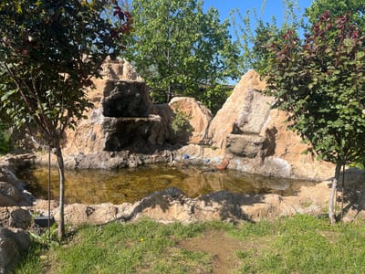 The image depicts a man-made pond and waterfall feature, enclosed by large, tan-colored rocks. Trees with green and reddish leaves frame the scene on either side, with taller green trees visible in the background against a clear blue sky. The pond's water appears murky, with reflections of the surrounding rocks and vegetation. In the foreground, there is a patch of green grass. There are some round, blue, and brown objects floating in the pond. A power cord runs along the ground. The location is Parvomai, Bulgaria.