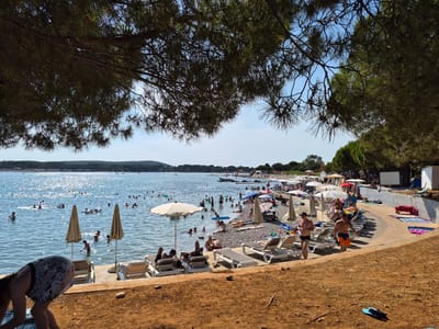 The image depicts a bustling beach scene on a sunny day in Općina Medulin, Croatia. The foreground is dominated by reddish-brown earth and dry foliage. A woman in a patterned dress is partially visible in the lower left corner, leaning down. Adjacent to her are several white lounge chairs, some occupied by sunbathers, and two beige beach umbrellas.
The middle ground transitions to a pebble beach, also lined with lounge chairs and umbrellas, with a concrete walkway behind them. Many people are scattered on the beach, some sitting, some standing, and some walking. Two men in swim trunks are walking along the walkway.
The background features a clear blue sky and a wide expanse of sparkling blue water, filled with numerous swimmers of all ages, some with inflatable floats. Boats are visible in the distance. The shoreline is lined with trees, and further inland, there are buildings and a hill covered in vegetation. The overall impression is of a lively and popular tourist destination.