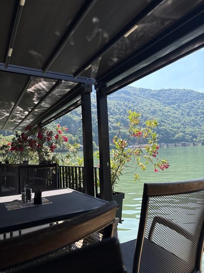 The image depicts an outdoor seating area overlooking a body of water and a densely forested hillside, with a bright, clear sky suggesting daytime. The perspective is unusual, as the scene is oriented sideways, with the sky and water appearing at the top and bottom of the frame respectively, and the hillside occupying the upper left portion.
The foreground is dominated by dark, metallic structures that appear to be part of a covered patio or balcony. These structures include what look like slatted screens or awnings, possibly made of a perforated material. Several pieces of outdoor furniture, including chairs with mesh seating, are visible. A flowering bush with pinkish-red blossoms is growing in the foreground, reaching up towards the open sky.
The middle ground features the expanse of calm, greenish water, with a hint of man-made structures along the far bank, possibly a dam or retaining wall. The background is a vibrant, green hillside covered in dense trees, appearing lush and undeveloped.
The time of day is suggested by the bright sunlight casting distinct shadows, particularly on the dark slatted structures in the foreground. The weather appears to be fair and sunny, contributing to the serene yet dramatic landscape. While no people are visible, the setup implies a place for relaxation or dining, possibly a cafe, restaurant, or private balcony. The overall mood is one of peaceful contemplation of a natural landscape from a modern, man-made vantage point. No discernible text is visible in the image. The location context of Divic, Bosnia and Herzegovina suggests this is a scenic vista within that region.