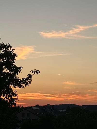 The image captures a sunset scene in Mondercange, Luxembourg. The sky is painted with warm hues of orange and yellow, transitioning to a pale gray at the top, indicating the late afternoon or early evening. Thin, wispy clouds are scattered across the sky, catching the last rays of sunlight and creating streaks of light.
In the foreground, the silhouette of a leafy tree branches out, its dark foliage contrasting with the bright sky. The tree appears to be in full bloom, suggesting a warmer season. Behind the tree, a faint silhouette of buildings and a sloping hillside can be seen, hinting at a residential or semi-urban environment. The overall mood is serene and tranquil, typical of a peaceful sunset. There are no people or specific objects clearly identifiable beyond the natural elements and the distant structures. The image is oriented vertically, with the sunset colors dominating the right side and the tree and pale sky on the left. There is no visible text in the image.