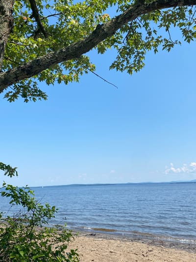 This media file depicts a serene natural scene by a body of water. The foreground features the lower branches and thick trunk of a mature tree on the left, with its green leaves contrasting against a clear, bright blue sky. On the right, a patch of green foliage is visible at the bottom of the frame.
The middle ground is dominated by a wide expanse of calm water, appearing as a lake or a very large river. The water's surface is gently rippled, suggesting a light breeze. The shoreline is a sandy beach, littered with some debris like twigs and small branches. In the distance, a hazy line of land or mountains can be seen on the horizon, with a few small white sailboats dotting the water. The sky transitions from a deep blue to a lighter shade towards the horizon, with a few wispy white clouds visible.
The time of day appears to be daytime, likely late morning or early afternoon, given the bright sunlight and clear sky. The weather is fair and pleasant. The location is implied to be a natural setting, possibly a park or a waterfront area. There are no people or specific objects of interest, beyond the natural elements. The overall mood is peaceful and tranquil. There is no visible text in the image. The location context provided is the Town of Peru, United States of America.
