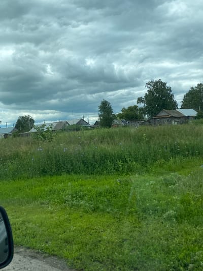The image depicts a rural scene, possibly in Krasnovka, Russia, under a cloudy sky. A dense field of tall green grass, dotted with small blue flowers, dominates the foreground and midground. In the background, several rustic wooden houses with corrugated metal roofs are visible, set against a backdrop of trees. The overall impression is one of a quiet, perhaps slightly overcast, summer day in a village.