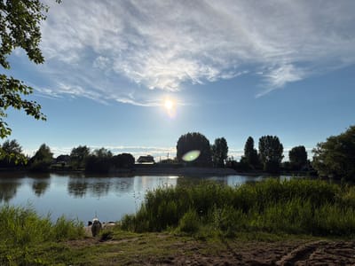 This image depicts a sunlit daytime scene of a body of water, likely a river or lake, bordered by lush green vegetation and trees. In the foreground, on the grassy bank, a small, fluffy dog is seen from behind, facing the water. The water reflects the bright sky and the surrounding trees. Across the water, a shoreline is visible with more trees, houses, and some structures. The sky is a clear blue with scattered white clouds, and the sun is visible, creating a lens flare effect. The overall impression is a serene, natural landscape. The location is specified as Узюково, Russia.