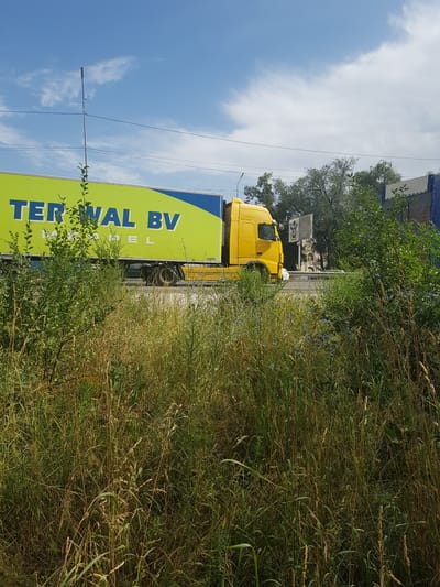 A bright yellow semi-trailer truck with a light green trailer is driving on a road. The trailer has blue trim and the words "TER WAL BV" in large blue letters. The truck is positioned slightly to the right of the frame, with the trailer extending to the left. The scene is overgrown with tall grass and bushes, some of which have small blue flowers. In the background, there are trees and a street lamp. The sky is blue with scattered white clouds. The location appears to be on the outskirts of Бұлақты, Kazakhstan, given the presence of wild vegetation and what seems to be a rural or semi-rural road.