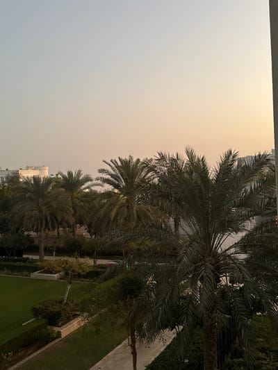 A sky gradient transitions from light blue to orange, contrasting with a row of palm trees. Buildings appear in the background amidst the trees. A pathway lines a neatly manicured lawn with garden beds along the side. The view, likely taken from a higher vantage point, captures a peaceful urban oasis at dusk or dawn.