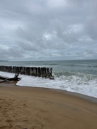 An overcast day at Ban Tha Chat Chai beach, Thailand, with the tide coming in. A breakwater made of dark vertical wooden posts stretches across the frame from left to right, partially submerged by the foamy waves. To the left, a large, gnarled piece of driftwood rests on the wet sand. The sand in the foreground is a light brown, marked with some debris and footprints. The sea is a murky green-gray, with moderate waves and white foam washing ashore. The sky is filled with dense, gray clouds, creating a subdued atmosphere. In the distance, the hazy outline of hills can be seen along the coastline.