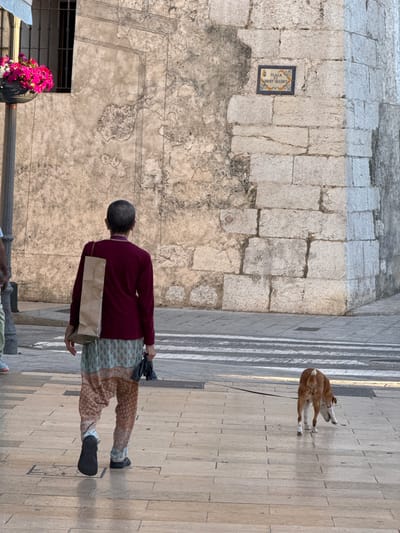 A slightly high-angle, medium shot depicts a street scene in Vinaròs, Spain. A person in a maroon shirt and patterned pants walks a brown and white dog on a leash across a sidewalk with white stripes. The person carries a paper bag over their shoulder. The sidewalk is paved with large, light-colored rectangular stones. To the left of the sidewalk is an aged stone wall with a small, framed sign reading "Plaça de Sant Valent" (Saint Valentine Square). Below the wall is a black window with pink flowers. Other people and an object can be seen at the bottom of the shot.