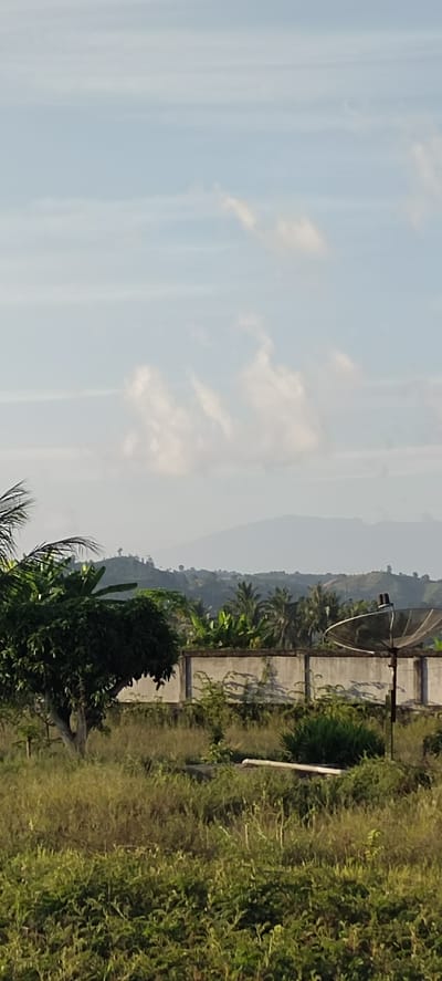 The image depicts a landscape in Cotbada, Indonesia. In the foreground, a dense patch of green vegetation fills the lower portion of the frame. To the left, a large tree with lush green foliage stands prominently. Behind the vegetation and the tree, a concrete wall runs horizontally across the middle ground. Beyond the wall, more greenery is visible, with a cluster of palm trees and banana plants. A satellite dish is positioned to the right of the wall, facing towards the viewer. In the background, rolling hills covered in vegetation recede into the distance, and a hazy mountain range is visible on the horizon under a pale blue sky with scattered clouds.