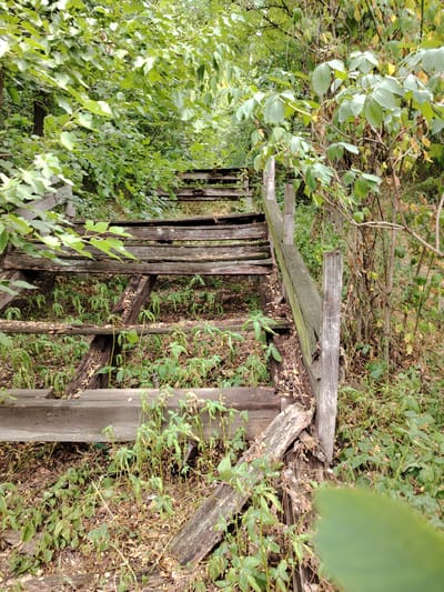 In Balyko-Shchuchynka, Ukraine, an abandoned wooden staircase, weathered and dilapidated, ascends a gentle incline. The steps are broken and uneven, with some sections missing entirely. A handrail, also made of wood, is partially intact, leaning precariously against the structure. Overgrown vegetation, including lush green plants and dry leaves, has reclaimed the area, encroaching on the staircase and its surroundings. The scene evokes a sense of decay and neglect, suggesting a place long forgotten.