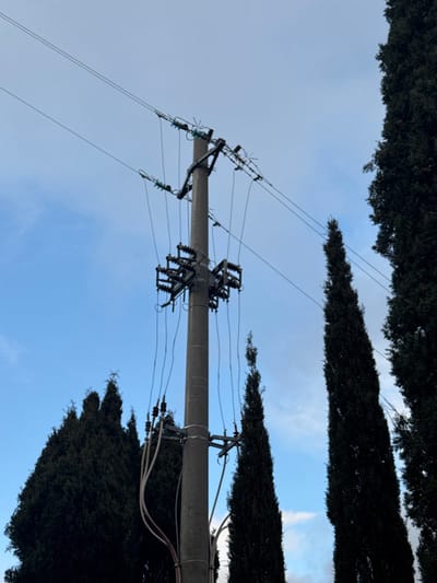 An upward angled shot reveals a gray utility pole centered against a pale blue sky with wispy clouds. Dark green, dense trees frame the top and bottom of the frame, creating a natural border. Power lines extend from both sides of the pole, with various electrical components attached at different heights. The wires intersect with the sky, and the overall composition emphasizes the juxtaposition of technology and nature.