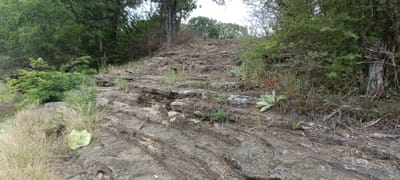 The image depicts a rocky hillside in an area with trees and vegetation. The foreground shows layered rock formations with grooves running across them. Grasses and small plants grow in between the rocks. There is a faded green plastic bag near the lower left. The hillside slopes upward, transitioning into a more overgrown area with bushes and trees. The trees and shrubbery are in the background. The specific location is not discernible from the image. The scene includes no visible people, subjects, objects, actions or interactions.