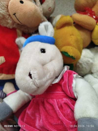 The image shows a close-up of several stuffed animals. In the foreground, a white stuffed animal with a blue hat and a pink dress is the most prominent subject. Its face is turned towards the viewer, with one black eye visible and a hint of a smile. To the left of this central figure, another stuffed animal with a tan face and a red garment is partially visible. In the background, other stuffed animals in yellow and white are also present, creating a soft, plush environment. The overall impression is one of a collection of toys.

The image has a timestamp in the bottom right corner that reads "19.06.2026 10:54", indicating the date and time the photo was taken. In the bottom left corner, the text "REDMI NOTE 13" is visible, likely identifying the device used to capture the image. The setting appears to be indoors, with soft lighting that casts a warm glow on the subjects. No specific activity is taking place, as the focus is on the static arrangement of the stuffed animals. The background is blurred, drawing attention to the detailed textures and colors of the toys.