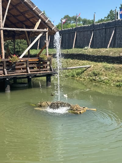 The image captures a scene in the city of Indjija Municipality, Serbia, featuring a tranquil outdoor setting. In the foreground, a body of murky green water is visible, with ripples indicating movement. A fountain shoots a powerful stream of water into the air from a makeshift island constructed from logs and vegetation. Two ducks are present in the water; one is a dark mallard swimming near the fountain, and a white duck is positioned further to the left.
To the left of the water, a wooden stilted structure resembling a pavilion or deck is prominent. It has a thatched roof and supports wooden tables and benches, suggesting it's an outdoor seating area. Pink flowers in planters adorn the railing of this structure.
In the background, a tall, weathered wooden palisade fence stretches across the scene. Several flags are flying from poles along the top of the fence, including what appears to be the Serbian flag. Beyond the fence, dense green foliage and trees are visible, and the sky above is a clear, bright blue. The overall impression is one of a rustic, possibly historical or themed, outdoor recreational area.