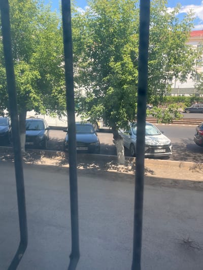 The image depicts a street scene viewed through metal bars. Several cars are parked along a curb under the shade of leafy trees. In the background, buildings with a reddish-orange roof are visible, along with a blue sky with scattered clouds. The street surface appears to be asphalt. License plates on some of the cars are partially visible. One car, a white Chevrolet, has the license plate "081AQT09". Another car, a dark sedan, displays "355EEA09". A dark hatchback has "43AVW09" on its plate. The overall impression is a typical urban environment on a sunny day.