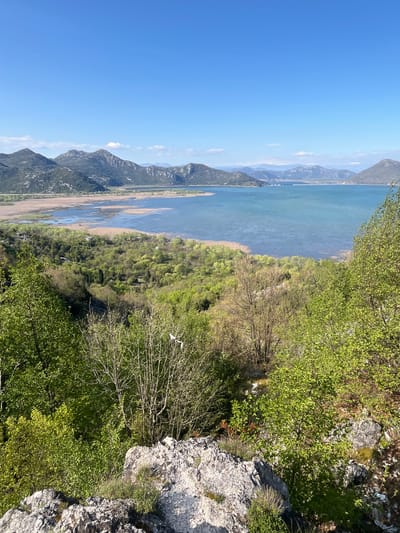 The image depicts a landscape scene in Godinje, Montenegro. The view is from an elevated position, looking out over a body of water (possibly Lake Skadar) with mountains in the background. The sky is clear and blue. The foreground consists of rocks and green vegetation, including trees and bushes. The shoreline is visible with areas of sand or sediment. In the body of water, there are patches of light-colored shallows.