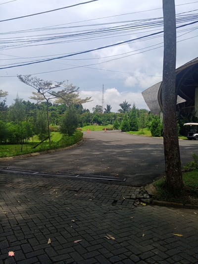 The image shows a paved road curving through a park-like setting in Bandar Baru, Indonesia. The road is bordered by lush green grass and trees, with a large, textured tree trunk prominently in the foreground on the right. In the background, a modern building with a curved, wooden roof is visible, along with a white golf cart parked nearby. Overhead, power lines crisscross the sky, and a distant communication tower can be seen. The ground in the foreground is paved with dark, interlocking bricks, scattered with a few fallen leaves. The sky is partly cloudy.