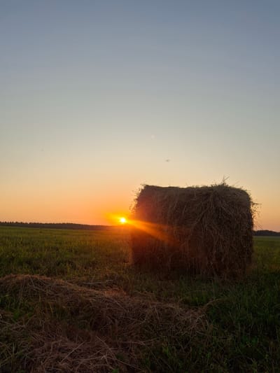 The image depicts a rural landscape at sunset, featuring a large bale of hay in the foreground. The hay bale is positioned to the right of the frame, with the sun partially obscured behind its right side, casting a warm glow and lens flares across the scene. The sun is low on the horizon, creating an orange and yellow gradient in the sky that transitions to a soft blue at the top. A dark line of trees or a forest is visible in the distance, separating the field from the sky. The foreground consists of a green grassy field with some scattered dry hay. The overall atmosphere is tranquil and serene, characteristic of an evening in the countryside. The location of Perevoznoe, Russia, is mentioned, suggesting this is a scene from that geographical area. No people or specific actions are depicted.
