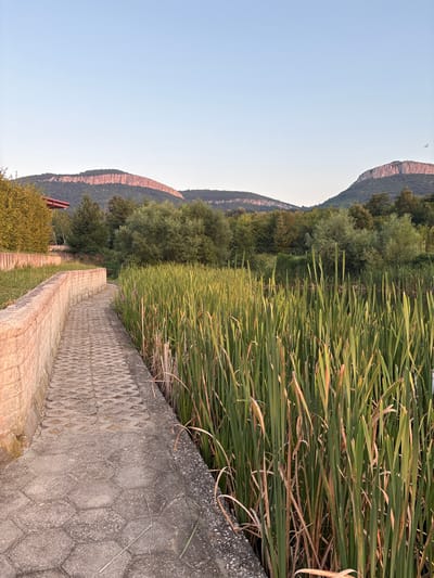 The image depicts a scenic pathway alongside a body of water filled with reeds, set against a backdrop of rolling hills and mountains. The pathway, constructed from hexagonal concrete pavers, is bordered by a low, rough-hewn stone wall. Dense green reeds, with some dried stalks, line the edge of the water, creating a natural barrier. In the distance, lush green trees form a dense forest that covers the lower slopes of the mountains. The mountains themselves are characterized by dramatic, flat-topped rock formations, particularly prominent on the central and right peaks. The sky is a clear, pale blue, suggesting either early morning or late afternoon light, casting a soft glow on the landscape. A small, red-roofed structure is partially visible to the left of the image, amidst the trees, hinting at human presence or a nearby facility. The overall scene evokes a sense of tranquility and natural beauty. The location is identified as Skalsko, Bulgaria, a place known for its natural attractions including rock formations and bodies of water.