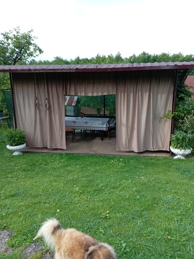 The image shows a covered outdoor seating area in Khwap, Abkhazia, with a tan curtain partially drawn open. Inside the covered area, a table with a white tablecloth is set with a vase of red roses and other items. Two chairs are visible. The area is surrounded by green grass and trees. A dog with light brown and white fur is in the foreground, facing away from the camera and towards the lawn. There are two white planters with green plants on either side of the entrance to the covered area. The roof of the structure appears to be made of corrugated metal. The sky is visible above the trees, with some clouds.