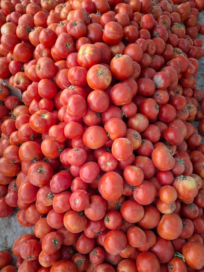 The image shows a large pile of ripe, red tomatoes. The tomatoes are of varying sizes and shapes, with some showing slight imperfections. They are piled on a rough, textured surface that appears to be the ground or a market stall. The lighting suggests an outdoor setting, possibly during daylight. The scene is devoid of people or any other discernible objects, focusing solely on the abundance of tomatoes. The context provided about the location in Utmayli, Uzbekistan, suggests this is likely a market or agricultural setting where tomatoes are being sold or displayed.