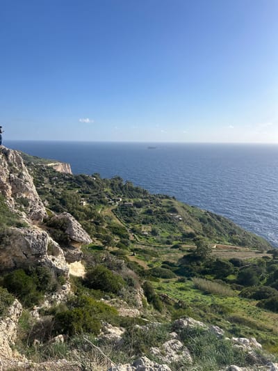 This image presents a wide-angle view of the coastal landscape near the city of Dingli, Malta. The scene is illuminated by clear daylight under a bright blue sky, with minimal scattered white clouds.
In the foreground and left mid-ground, substantial limestone cliff formations are visible, exhibiting a light tan to off-white coloration and supporting scattered green shrubbery and grasses. On the extreme left edge of the upper cliff, a solitary individual is observed, standing upright and partially silhouetted against the sky, facing towards the expansive seascape.
Below the main cliff face, a steep, verdant hillside descends towards the Mediterranean Sea. This hillside is characterized by numerous patches of lush green vegetation, including trees and smaller plants, interspersed with visible terraced agricultural plots. Several small, square or rectangular, light-colored structures are distributed across the cultivated slopes. A narrow, unpaved track is discernible winding through the green terrain.
The vast expanse of the Mediterranean Sea occupies the central and right portions of the image, displaying a deep blue hue. The sea surface is relatively calm, with a visible reflection of sunlight in the mid-distance on the right. A small, flat-topped island is present on the horizon, positioned slightly right of center in the sea.
