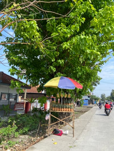 The scene is a street side fruit stand located in Kecamatan Tulangan, Indonesia, at the coordinates -7.485 latitude and 112.652 longitude. A large, leafy tree stands over a stand, which has a colorful umbrella and a wooden structure with a variety of pineapples stacked on shelves. The stand is located on a paved street with a sidewalk on the left side. There are houses in the background and a few people are riding motorcycles in the distance. The road is largely empty.