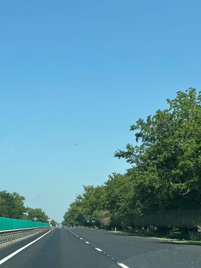 The image captures a view from a vehicle traveling on a highway in Telman, Russia, under a clear blue sky. The highway is paved with asphalt and marked with white dashed lines, indicating lanes for traffic. On the left side of the road, a bright green sound barrier is installed along the edge of the highway, followed by a row of trees. On the right side, a dense line of lush green trees borders the road, with some branches extending over the asphalt. Several road signs are visible, including a speed limit sign of 70, indicating the maximum allowed speed. In the distance, more trees and signs can be seen along the highway, suggesting it is a well-traveled route. The overall impression is one of a sunny day on a rural highway.