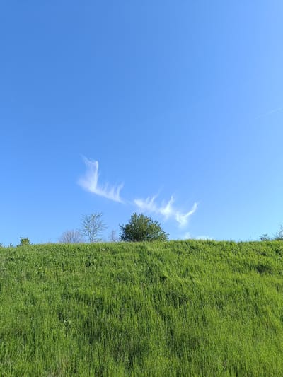 The image presents a serene natural landscape, likely in Vehtovo, Bulgaria, under a bright blue sky. The lower two-thirds of the frame are dominated by a steep, lush green hill, densely covered in tall, vibrant grass. The rich color and density of the grass suggest a flourishing season, such as spring or early summer.
Along the crest of the hill, several trees are visible, their tops just peeking above the grassy slope and into the sky. Some trees are full with green leaves, while others show a more skeletal structure, possibly indicating different species or early stages of foliage.
The upper third of the image is a clear, brilliant blue sky, characteristic of a sunny day. Scattered across the mid-left portion of the sky are a few wispy, white clouds, resembling cirrus formations or dissipated contrails, which create an elongated, feathery pattern. In the far upper right corner of the sky, a very faint, straight white line, consistent with an aircraft contrail, can be observed.
The scene is devoid of people or man-made objects, emphasizing its natural beauty and tranquility. The bright, even lighting indicates it is daytime. There is no visible text in the image.