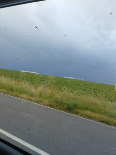 The image, oriented correctly, captures a bright daytime view from the perspective of a vehicle. The upper portion features a clear, light blue sky with subtle white clouds. Numerous small water droplets or smudges are scattered across the windowpane, indicating the photo was taken through glass. Below the sky, a vast green agricultural field, possibly of a leafy crop like sunflowers, stretches towards the distant horizon. A paved road, marked with a white edge line, runs parallel to the field on the right side of the frame. Dark window framing is visible in the bottom-left and far-right sections, reinforcing the perspective from inside a moving vehicle. The scene depicts a serene rural landscape, consistent with the location context of Roza, Bulgaria. There are no people or discernible text visible in the frame.