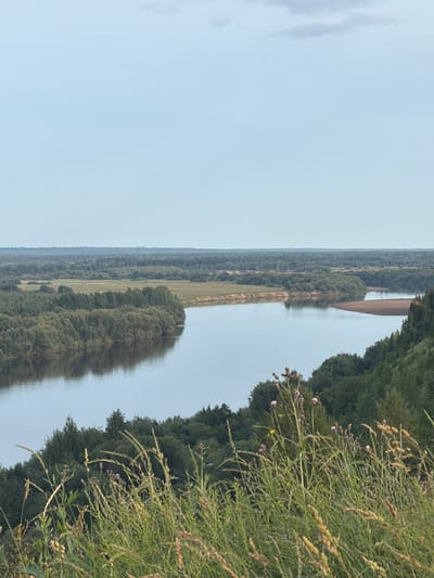 An elevated, wide-angle view of a wide, calm river winding through a lush, green, forested landscape under a pale blue sky with a few wispy clouds. In the foreground, tall, dry grasses and a few thistle plants with purple flower heads are in focus. The river reflects the sky and the surrounding trees. On the opposite bank, a sandbar is visible. The landscape stretches to the horizon, with dense forests dominating the terrain. The scene appears to be a natural, undeveloped area. This location is likely near Cherdyn, Russia, as suggested by the prompt, known for its scenic river valleys and dense forests. There are no people or man-made structures visible in the image.
