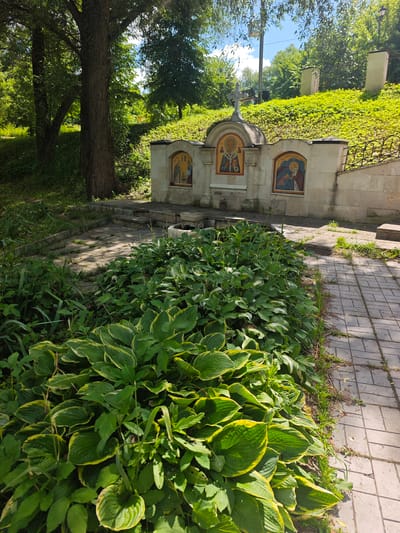 This is a photograph of a religious shrine, possibly a public fountain with religious iconography, located in the city of Chekhov, Russia. In the foreground, a dense bed of hosta plants with variegated green and yellow leaves grows along a paved walkway made of grey interlocking bricks. The walkway recedes into the background and curves slightly to the right. Behind the hostas and to the left, a stone paved area with some steps leads up to a structure. This structure is built from light-colored stone blocks and features a curved top with a cross. Three recessed niches are visible within the structure, each containing religious icons with gold backgrounds. The icons depict figures in traditional religious attire. To the right of the main shrine structure, a metal railing is present. The background is filled with lush green foliage and trees, suggesting an outdoor, possibly park-like, setting. The sky above is blue with scattered white clouds. The overall scene appears to be serene and well-maintained, bathed in sunlight.