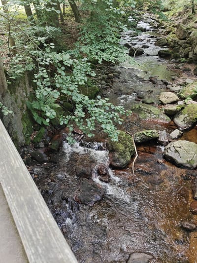 The image shows a view from a wooden railing looking down into a shallow, rocky stream flowing through a forest. The water is clear with a brown tint from the surrounding earth. Rocks of various sizes, some covered in moss, line the stream bed and banks. Lush green foliage, including trees and ferns, overhangs the stream and the rocky bank on the left side of the image. The forest floor is covered with leaves and debris. The scene suggests a natural, wooded environment. This appears to be a scene from the Ilse valley in Ilsenburg, Germany, known for its picturesque gorges and waterfalls. There are no people or animals visible in the image.