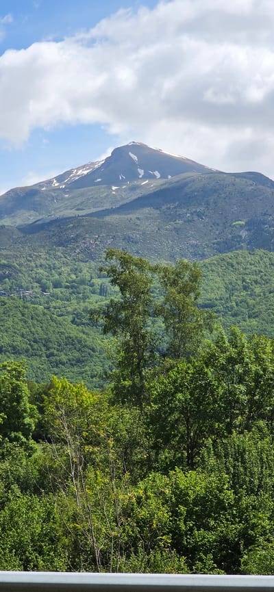 The image shows a view of a mountain covered in vegetation, with patches of snow near the peak. The mountain takes up a significant portion of the left side of the frame, its slopes covered in dense green foliage. To the right of the mountain, a dense forest fills the frame, with various shades of green indicating different types of trees. A large tree in the foreground partially obscures the view of the forest behind it. In the sky, there are scattered clouds, with blue sky visible in between. The photo was taken in Castejón de Sos, Spain. A pale gray pillar is located on the right side of the image.