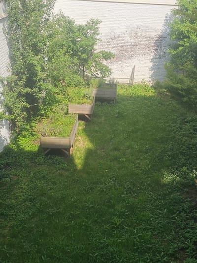 A slightly rotated, medium shot shows a verdant, overgrown backyard in Anderlecht, Belgium. A weathered, wooden staircase ascends a gentle slope, disappearing into a dense patch of grass. A brick wall painted white forms the backdrop on the left, partially obscured by foliage. Sunlight dapples the scene. There are no people visible.